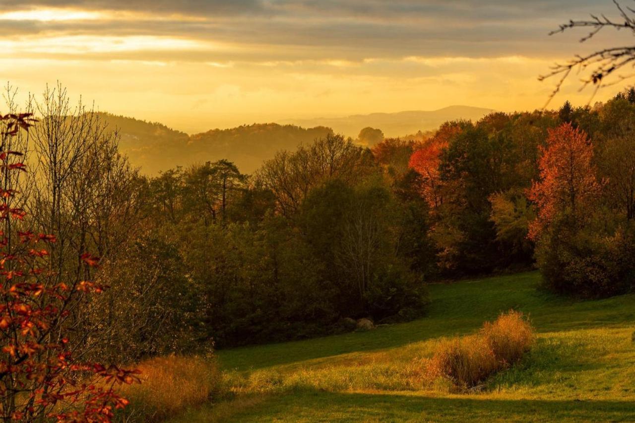 Ferienwohnungen Bauer - Auszeit Mit Ausblick Zenting Kültér fotó