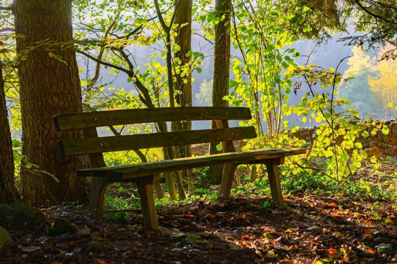 Ferienwohnungen Bauer - Auszeit Mit Ausblick Zenting Kültér fotó